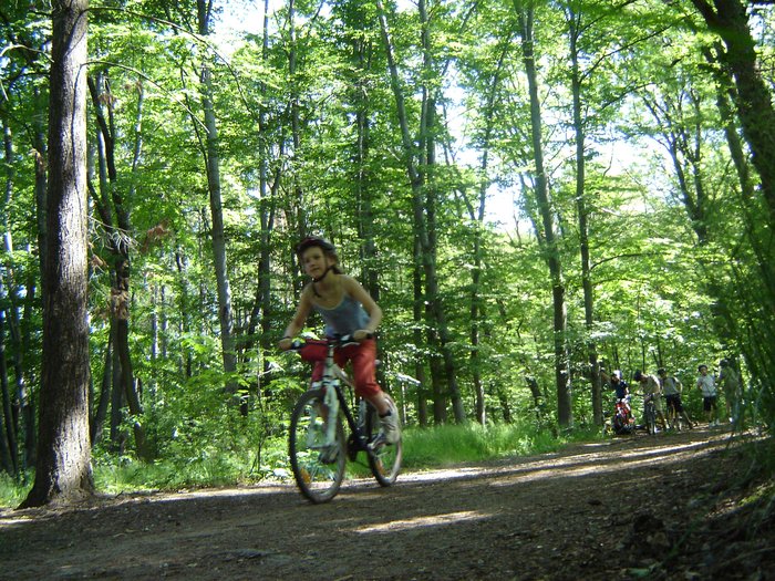 002 2005 Calypso   bike zavhod Hvezda